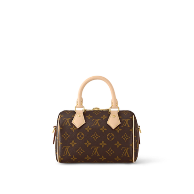 LV Tasche Damen